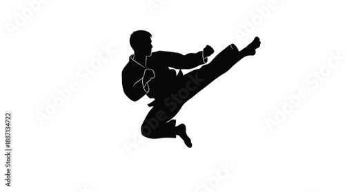 Silhouette of a martial artist executing a dynamic high kick pose