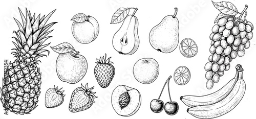 Detailed fruit illustration, black and white botanical sketch, pineapple, apple, pear, strawberry, lemon, grape, banana, realistic food drawing, nutrition art