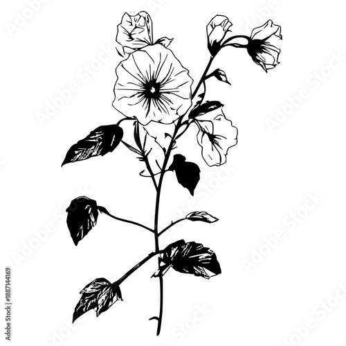 Delicate Sweet Pea Flower Icon on a Climbing Vine: A Charming Botanical Illustration Perfect for Garden & Nature Designs, Capturing Spring's Beauty