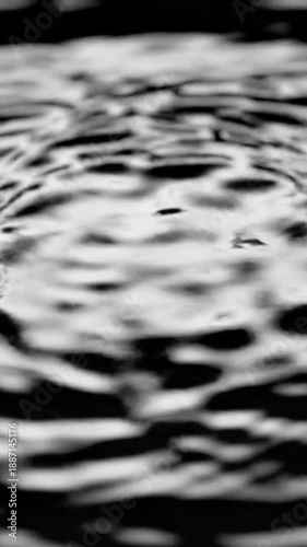 Dynamic Liquid Splash Creating Elegant Concentric Waves In Striking Black And White