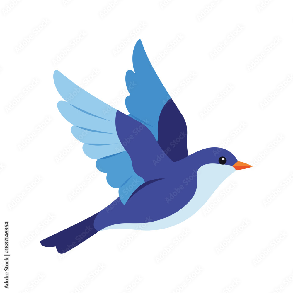 Fototapeta premium Bird in flight with blue wings and white chest