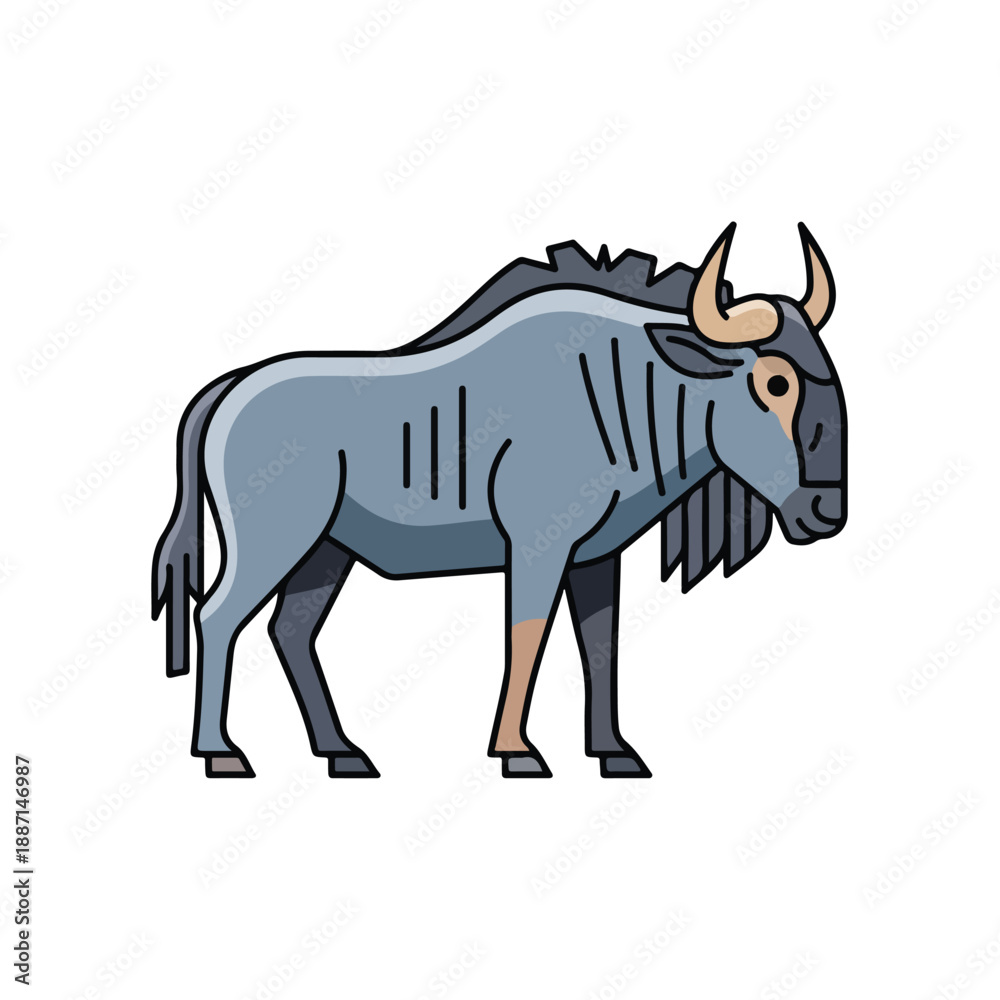 Fototapeta premium Wildebeest standing isolated on white background