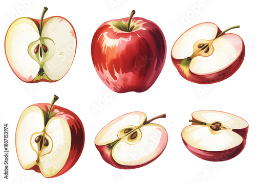 Apple slice and whole fruit collection with red and green varieties in hand-painted watercolor.