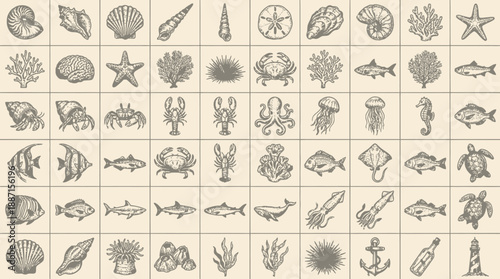 Marine Life Tile Vector Set – 40 Black-and-White Vintage Ocean Icons Featuring Shells, Fish, Coral, and Sea Creatures for Educational and Design Use