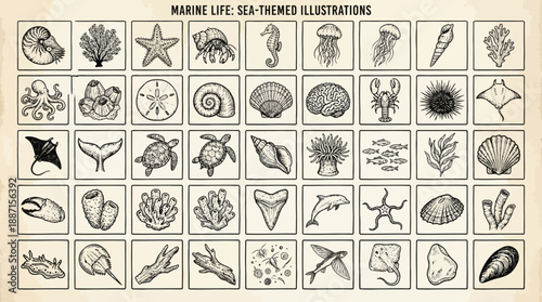 Marine Life Tile Vector Set – 40 Black-and-White Vintage Ocean Icons Featuring Shells, Fish, Coral, and Sea Creatures for Educational and Design Use