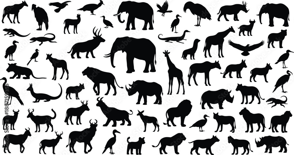 Obraz premium Wildlife Animal Silhouettes Collection