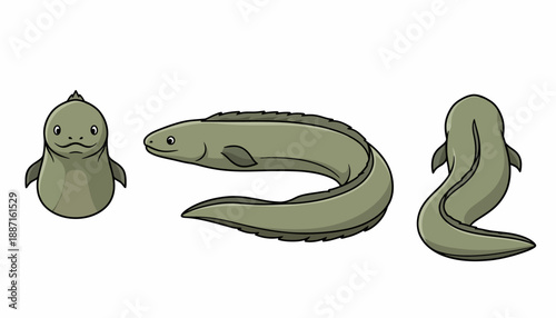 Cartoon Illustration of a Green Eel Viewed from Multiple Angles.