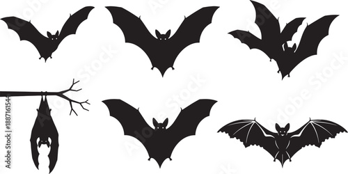Set of black and white bird vector silhouettes featuring flying animal illustrations and eagle wing designs for nature icons or halloween vampire bat patterns