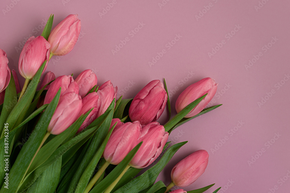 Fototapeta premium Pink Tulip Bouquet on Soft Pink Background. Elegant Spring Floral Flatlay for Valentines, Mothers or 8 March Day Celebration
