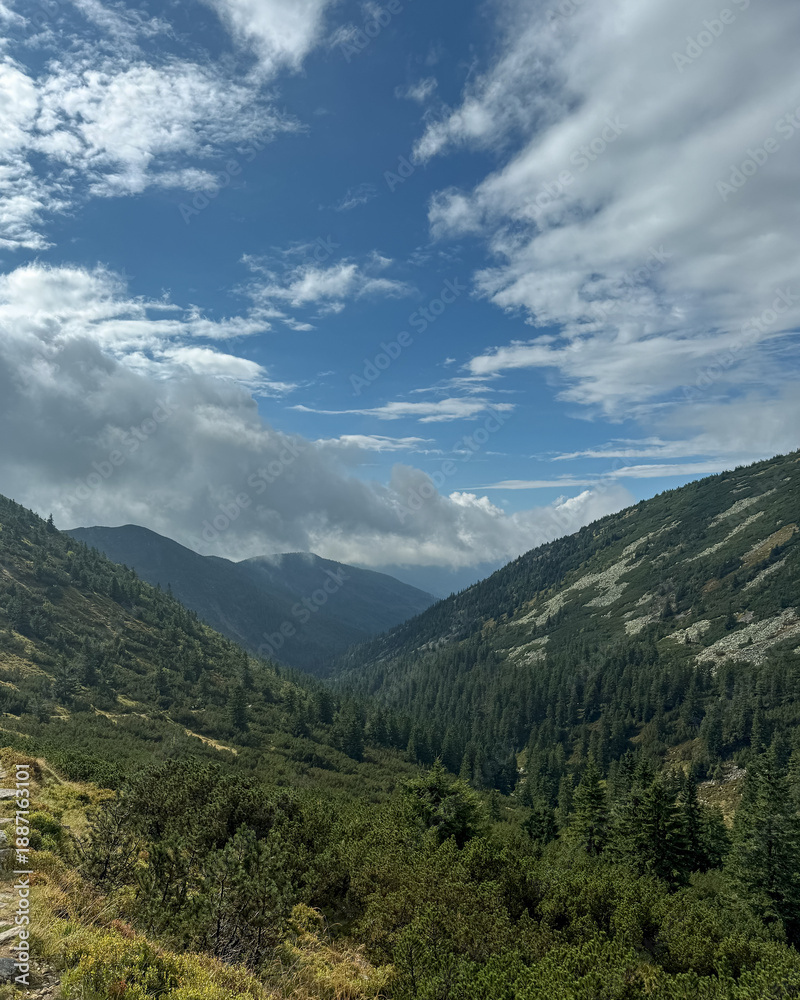 Obraz premium Mountain valley landscape with forest and dramatic clouds
