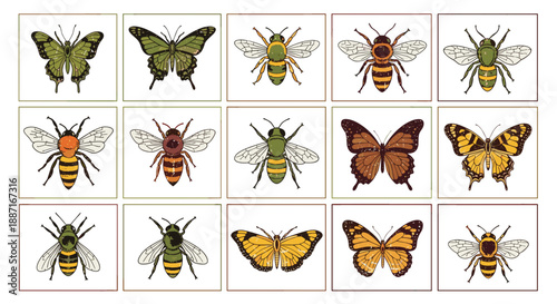 Collection of various butterflies and bees