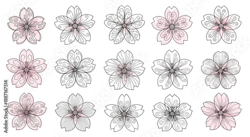 Collection of cherry blossom illustrations in various styles and colors