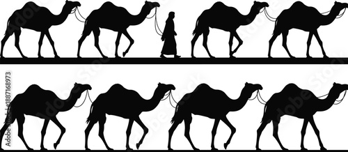 Camel caravan silhouette with desert traveler leading camels in traditional nomadic journey, migration and trade route concept illustration