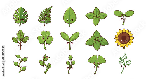 Collection of various green leaves and plants