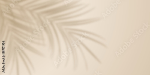 Palm leaf shadow on beige wall background. Blurred tropical plant leaves shadow beige background. Minimalist nature summer spring background for beauty, cosmetic, skincare, product presentation © fatima