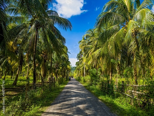 Canvas Print Andaman and Nicobar islands India, winter trip photos