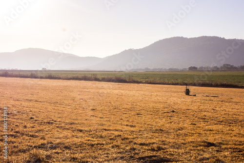 Early morning view over a field with the hazy ridges of the Vredesfort Dome in the background, Rural Free State Province South Africa. T