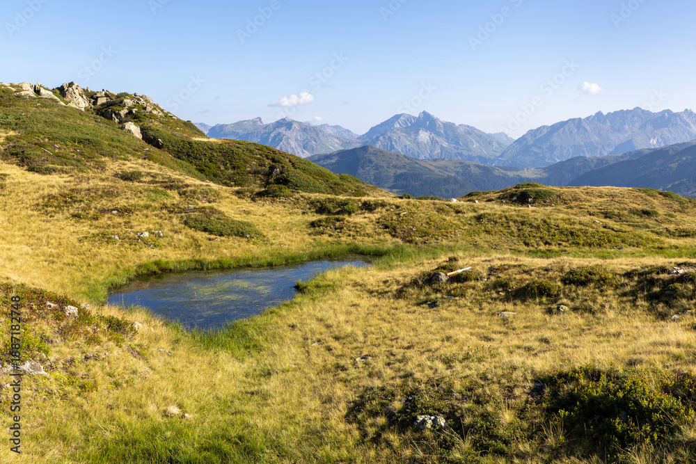 Obraz premium View of wetland area in Verwall conservation area near Grasjoch mountain station in Montafon region, Austria during clear sunny day