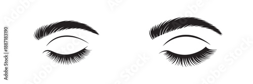 Pair of closed eyes with long eyelashes and perfectly shaped eyebrows isolated as beauty cosmetic concept vector