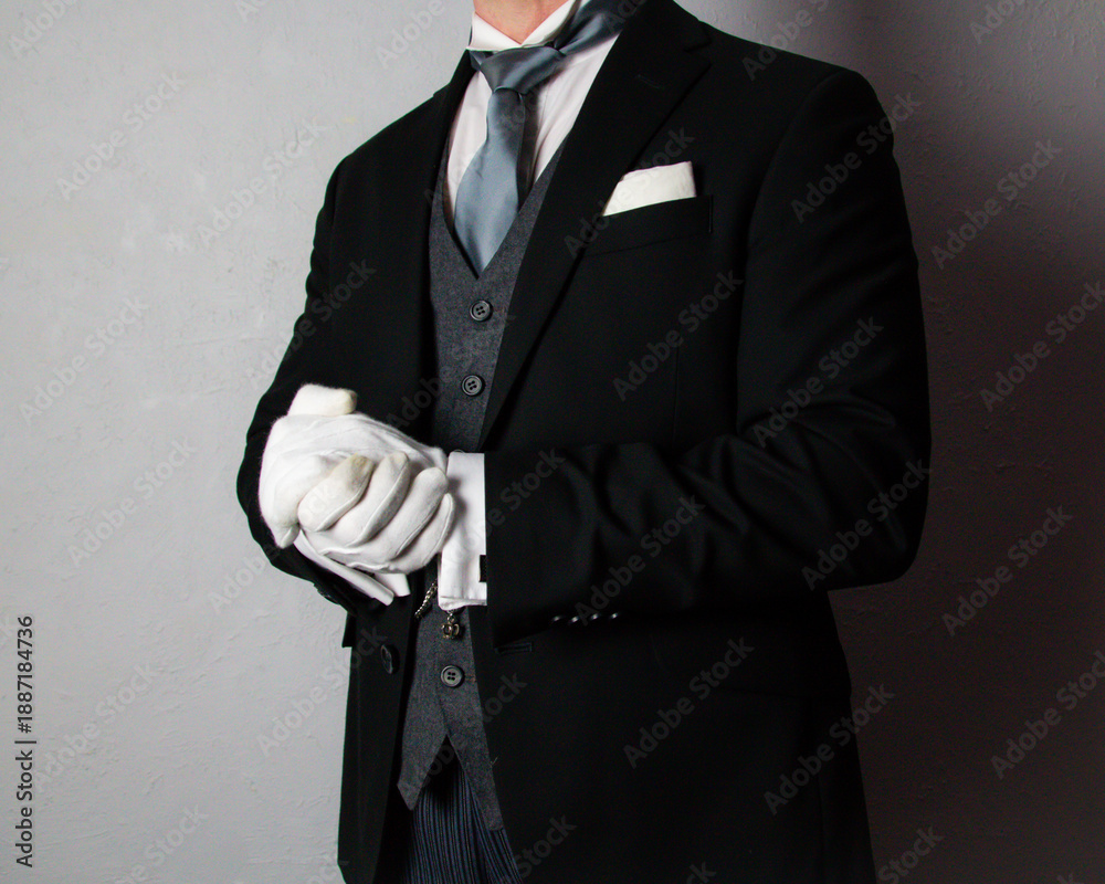 Ταπετσαρία Butler or Hotel Concierge in Formal Attire and White Gloves Standing at Elegant Attention
