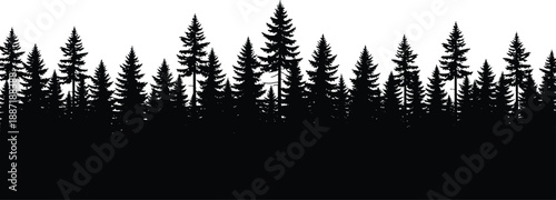 Dense pine forest silhouette landscape, evergreen trees forming natural woodland horizon, wilderness scenery and outdoor nature background isolated on white