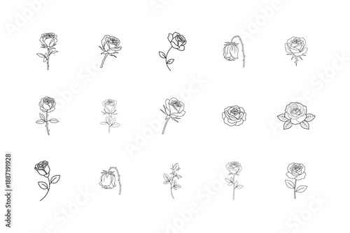 Minimal Rose Flower Line Art Set Elegant Floral Outline Vector Illustration.
