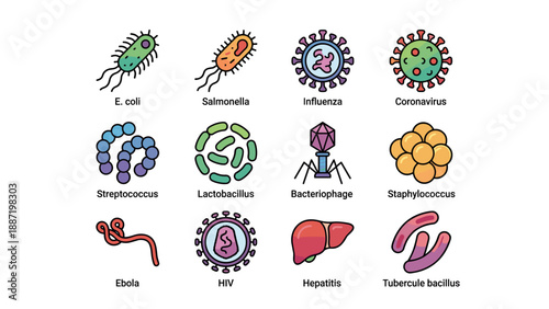 Colorful virus and bacteria icons set including E. coli, Salmonella, Influenza, Coronavirus, HIV, Ebola, and other microscopic pathogens, flat design vector illustration, medical and science concept
