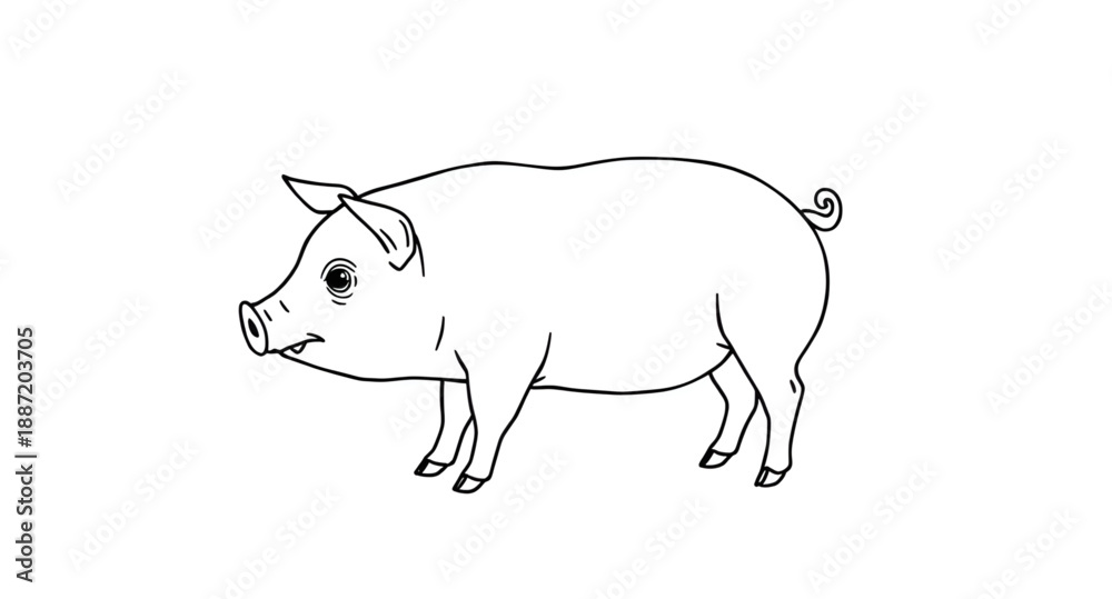 Fototapeta premium pig, piglet, hog, farm, animal, livestock, pigoutline, outline, sketch, sketchy, lineart, line, handdrawn, drawing, vector, illustration, doodle, contour, minimal, simple, blackandwhite, rural, agricu