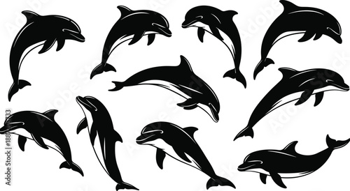 Collection of black and white dolphin silhouettes in various dynamic poses marine