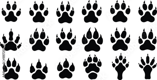 Collection of black animal paw prints with visible claws on a white background animal track