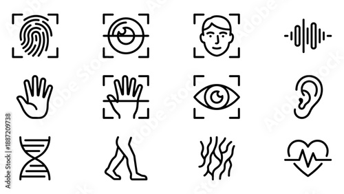 Set of 12 Biometric Identification and Security Line Icons Featuring Fingerprint, Face Recognition, Iris Scan, Voice Wave, DNA, Hand Print, Eye Scan, Ear, Gait, Vein Pattern, and Heartbeat Pulse.