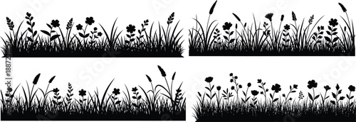 Set of black silhouette grass and flowers borders on white background for design