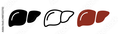 Human liver icon set. Vector icon isolated on white background.