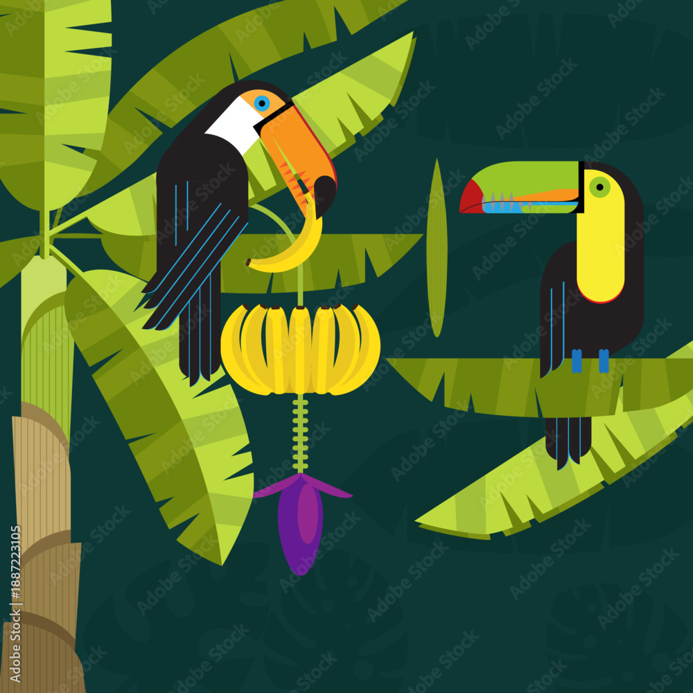 Fototapeta premium Banana tree with Toucans