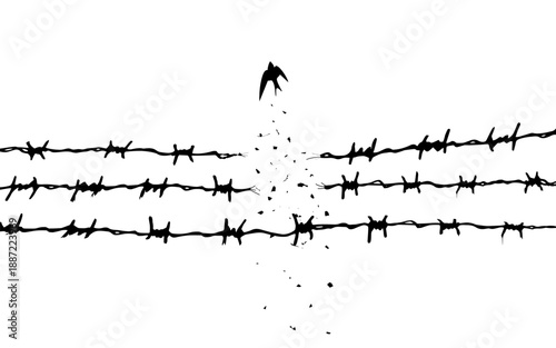 concept freedom, flight, breaking barriers, liberation, victory. barbed wire breaks and turns into a bird. Addiction Recovery Dispersion black and white effect.	