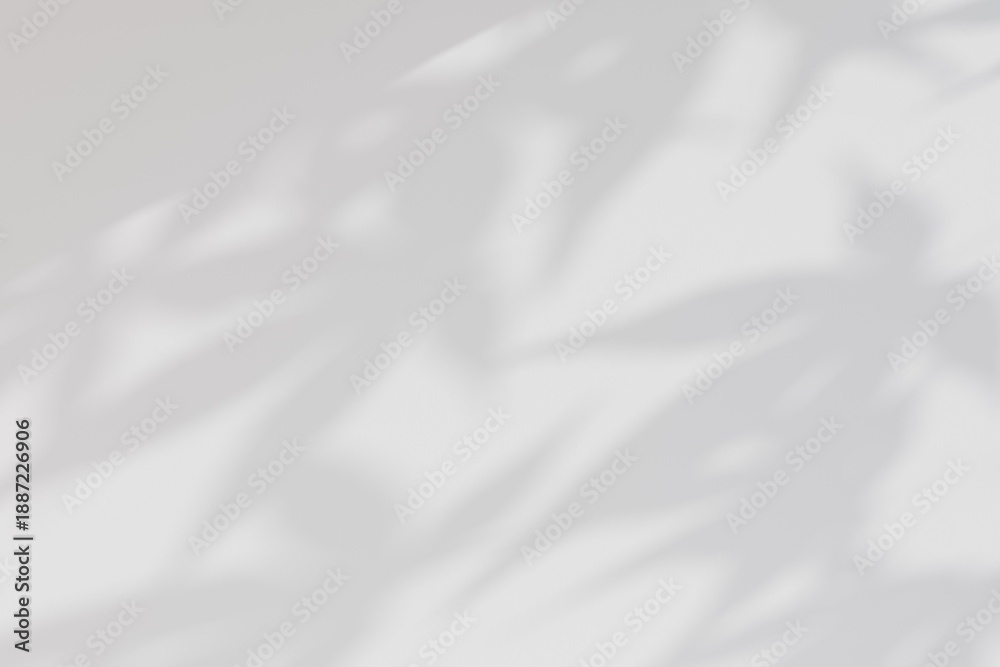 Obraz premium Leaf Shadow on Blank White Wall Interior Background. 3d render