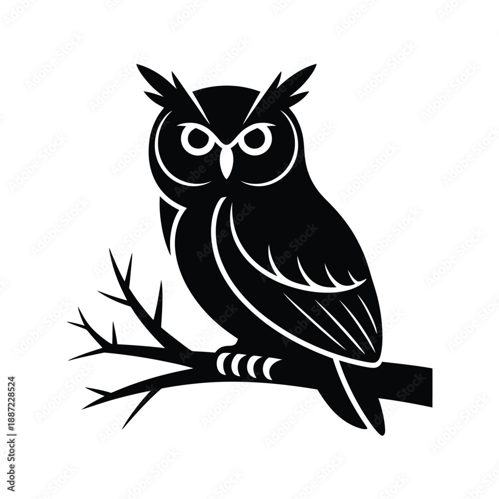 Obraz premium Black and white owl sitting on a branch bird