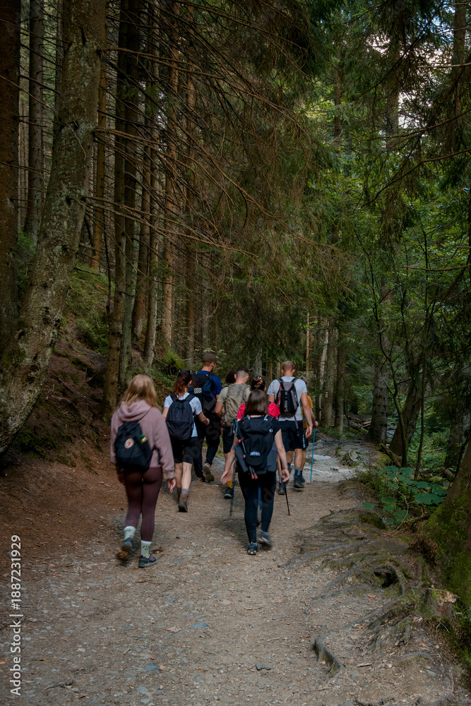 Obraz premium Vibrant Team Of Outdoor Trekkers Dressed Warmly Exploring Thriving Woodland Landscapes With Happiness