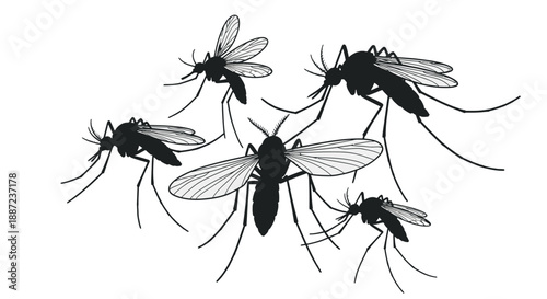 Black and white illustration of mosquitoes flying together.
