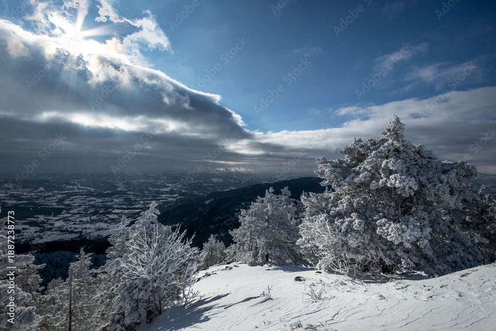 Obraz premium Mountain landscape in the winter with forests and fields covered with snow on Divcibare mountain, popular tourist place in Serbia