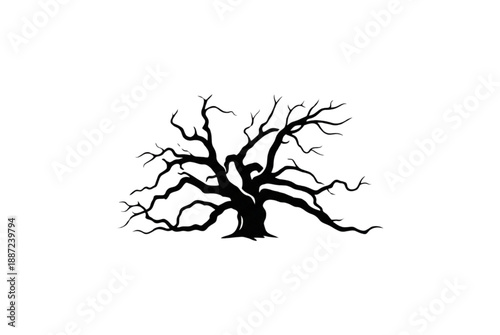Bare tree silhouette with twisted branches and roots