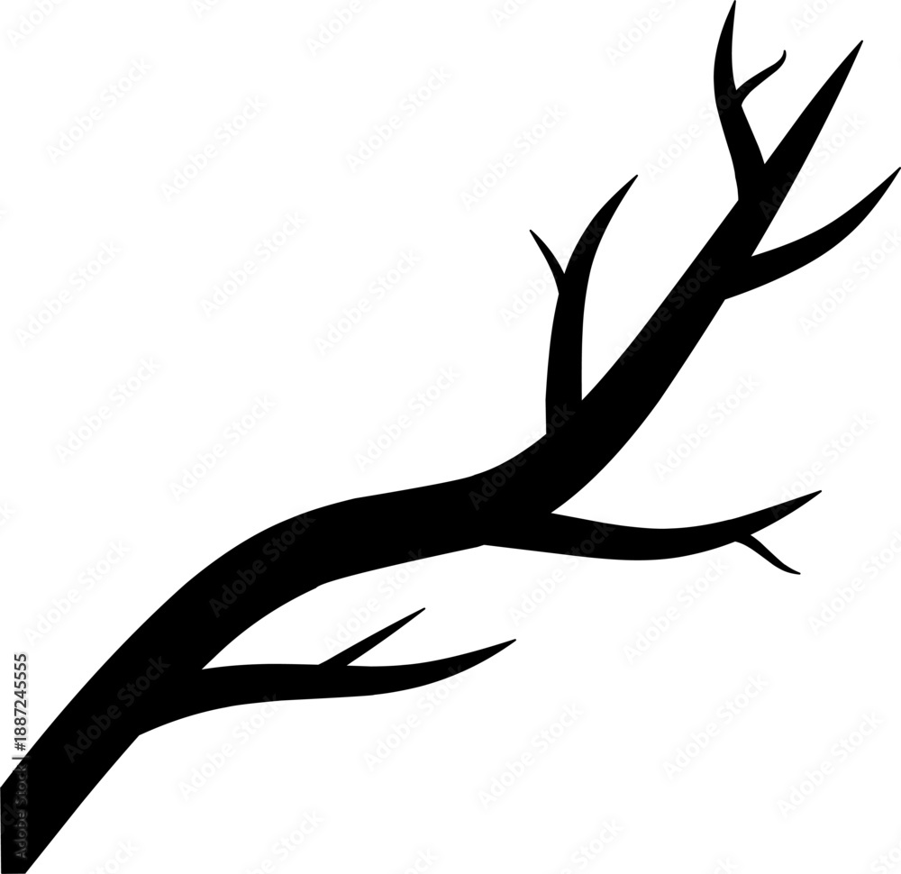 Fototapeta premium Tree Branch Silhouette