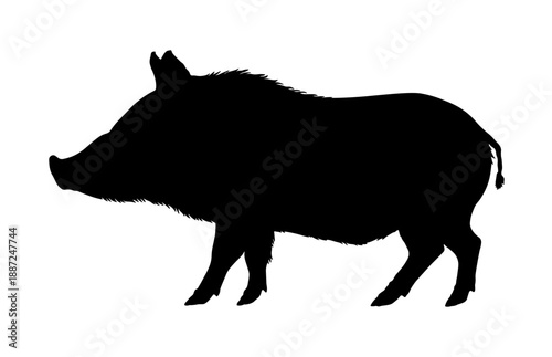 Black silhouette of a wild boar in side view without background.
