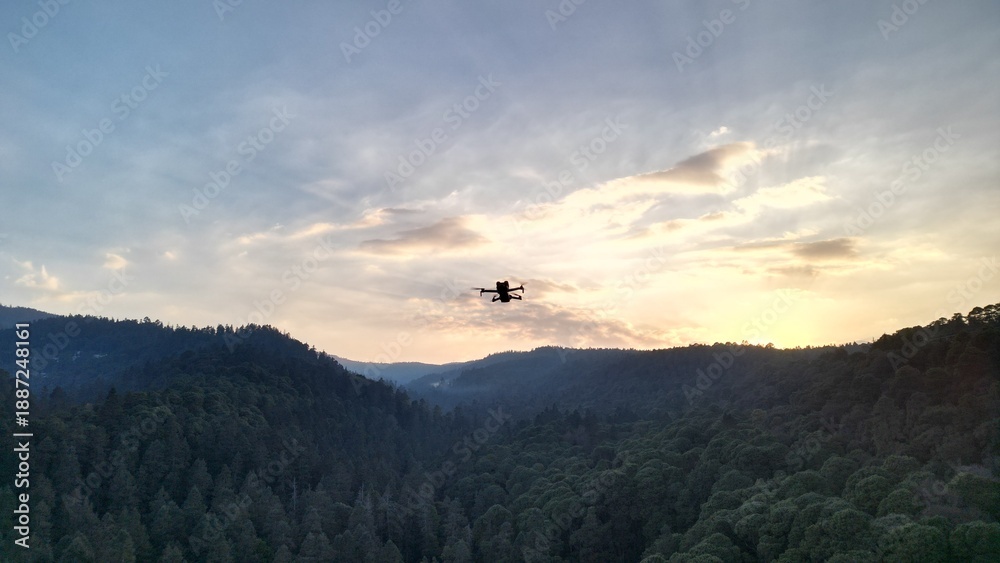 Obraz premium Dron en la naturaleza