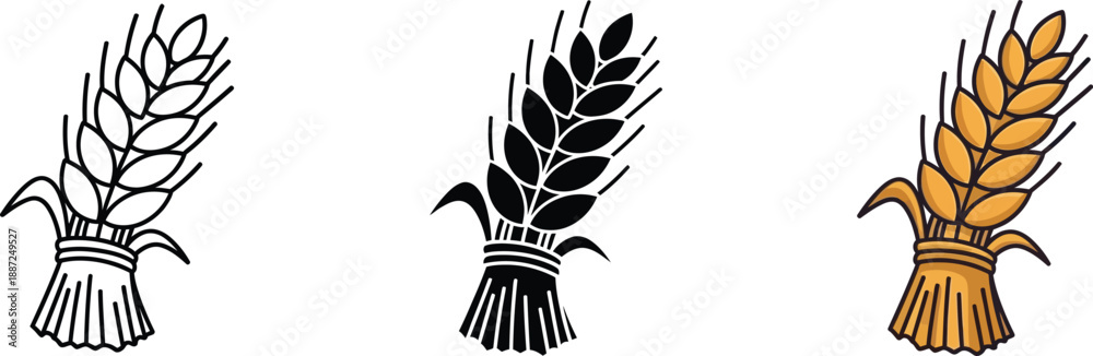 Fototapeta premium A collection of three stylized wheat sheaf illustrations in various graphic styles isolated on white background, Vector
