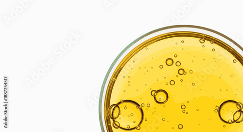 A refreshing glass of beer with foam and bubbles, captured from a close-up viewpoint, showcasing the drink's clarity and effervescence, in a relaxed environment