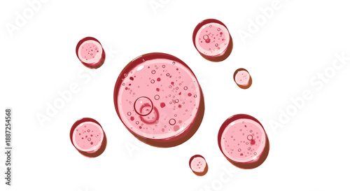 Red blood cells floating in a transparent medium viewed from a microscopic perspective