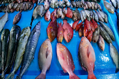 Wallpaper Mural Fish for sale at Fuvahmulah Male Fischmarkt in Maldives Torontodigital.ca