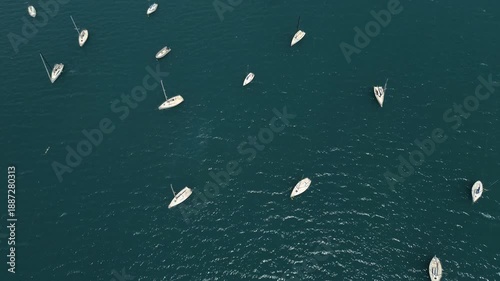 Wallpaper Mural Aerial view of leisure boats anchored in lake Potrerillos in Mendoza, Argentina Torontodigital.ca