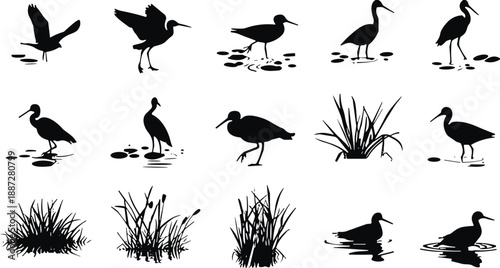 Wetland bird silhouette set, marsh vegetation illustration, wading bird vector, aquatic plant icons, black nature design, ecosystem artwork pack
